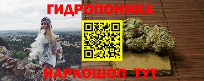 гидропоника Новодвинск