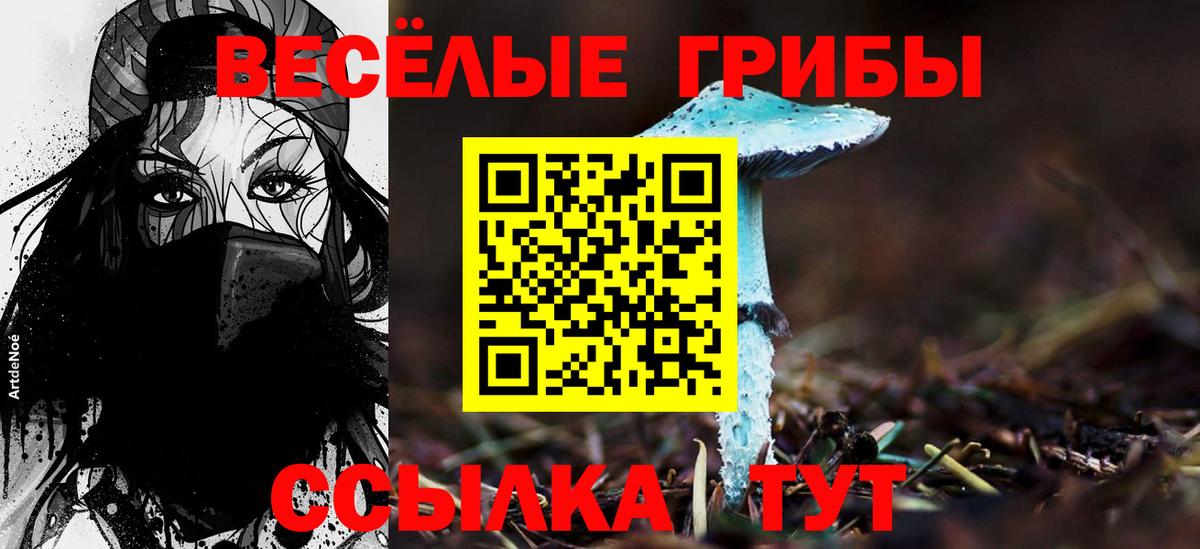 Сосновый Бор  где можно купить наркотик  Галлюциногенные грибы GOLDEN TEACHER  Вход с VPN  Галлюциногенные грибы прущие грибы 